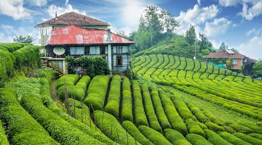 Karadeniz Rüyası ve Batum Turu 5 Gece Otel Konaklaması