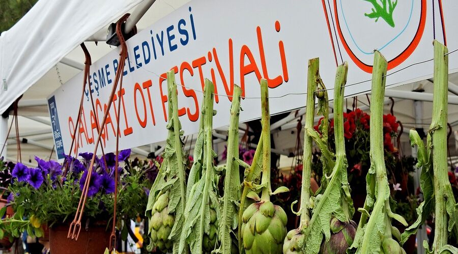 Alaçatı Ot Festivali Turu 1 Gece 