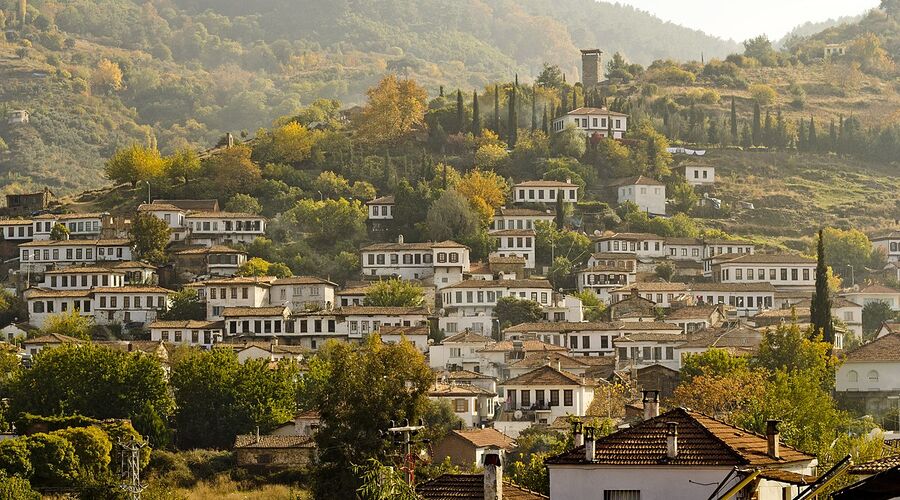 Urla Enginar Festivali Turu 1 Gece